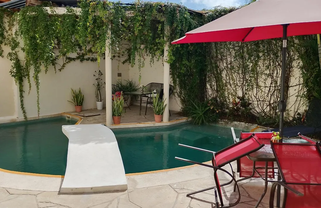 Bed And Breakfast Pecari-1