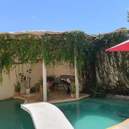 Bed And Breakfast Pecari-3